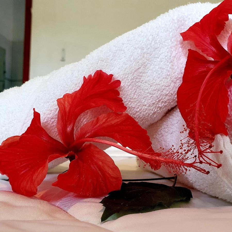 Pousada Corais Do Sul Caraiva Ngoại thất bức ảnh