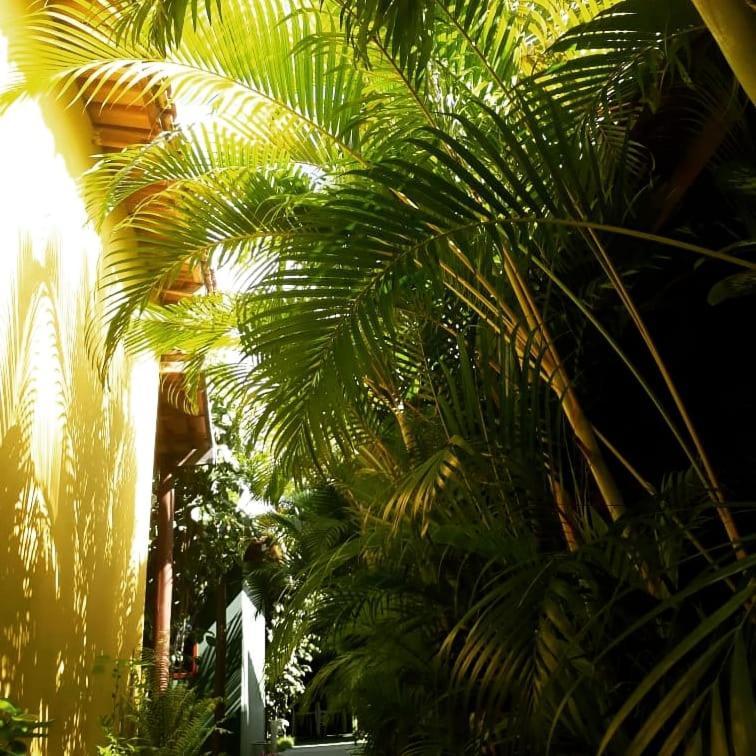 Pousada Corais Do Sul Caraiva Ngoại thất bức ảnh