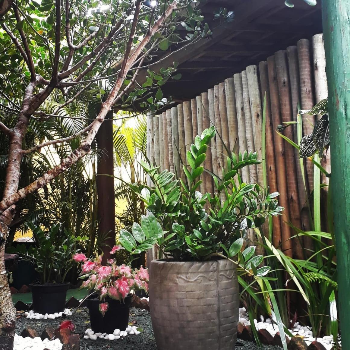 Pousada Corais Do Sul Caraiva Ngoại thất bức ảnh